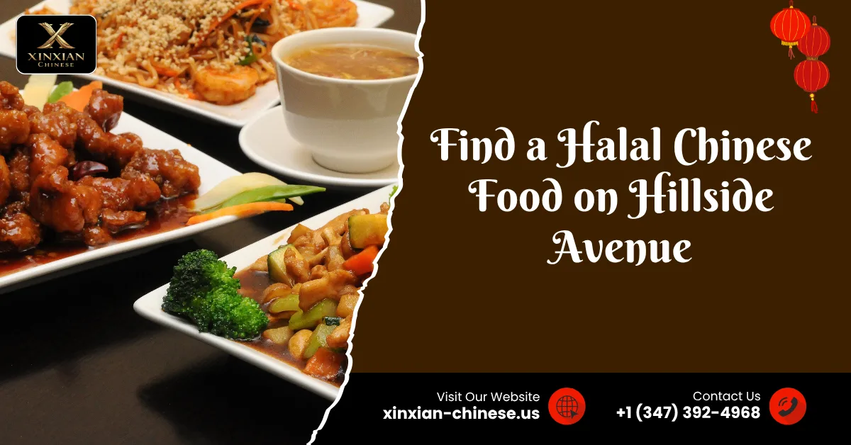 Where to Find Halal Chinese Food on Hillside Avenue in Jamaica, Queens